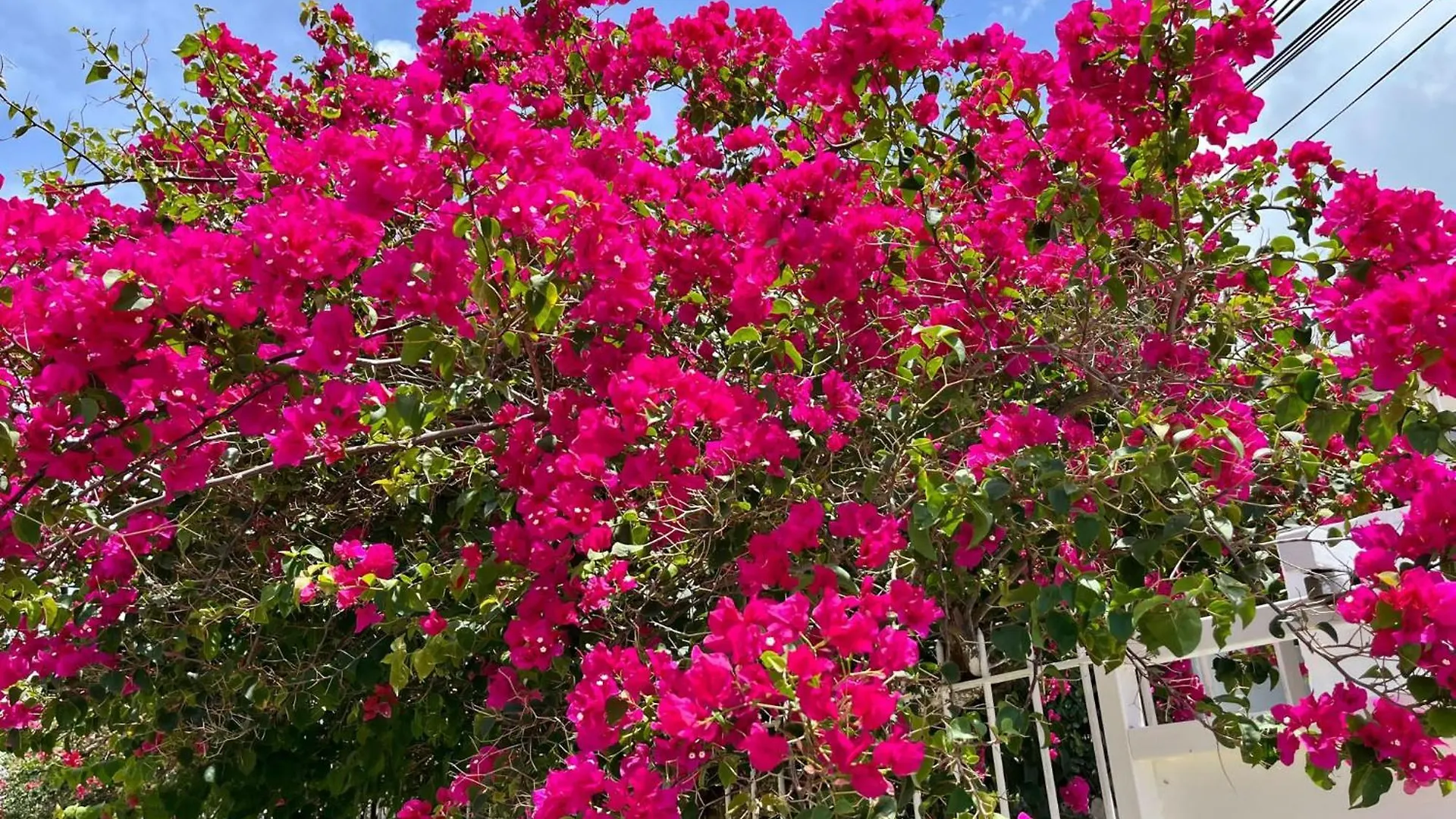Les Villas Du Bambou - Villa Paprika Jusqu'A 6 Pers Le Gosier
